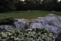 IMG_1949