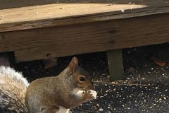 IMG_3606