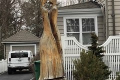 IMG_9579