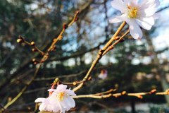 IMG_9834