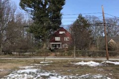 Tree-removal-1
