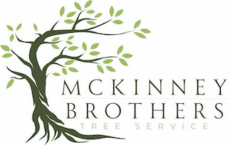 McKinney Brothers Tree Service